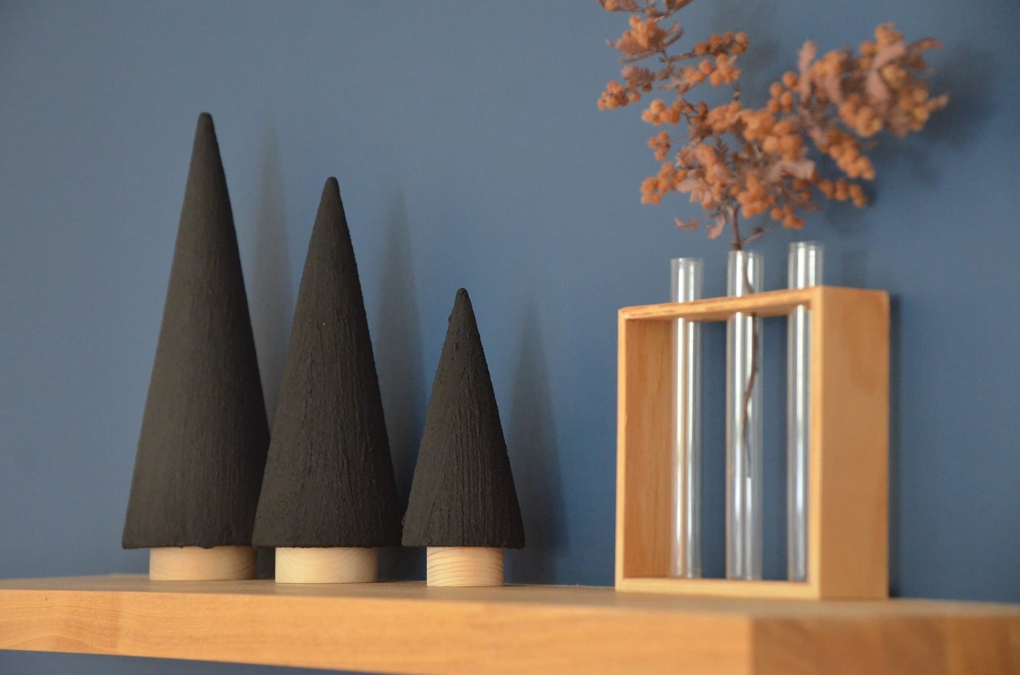 The Secret of Charcoal — Nature’s Power for Warmth, Freshness, and Balance