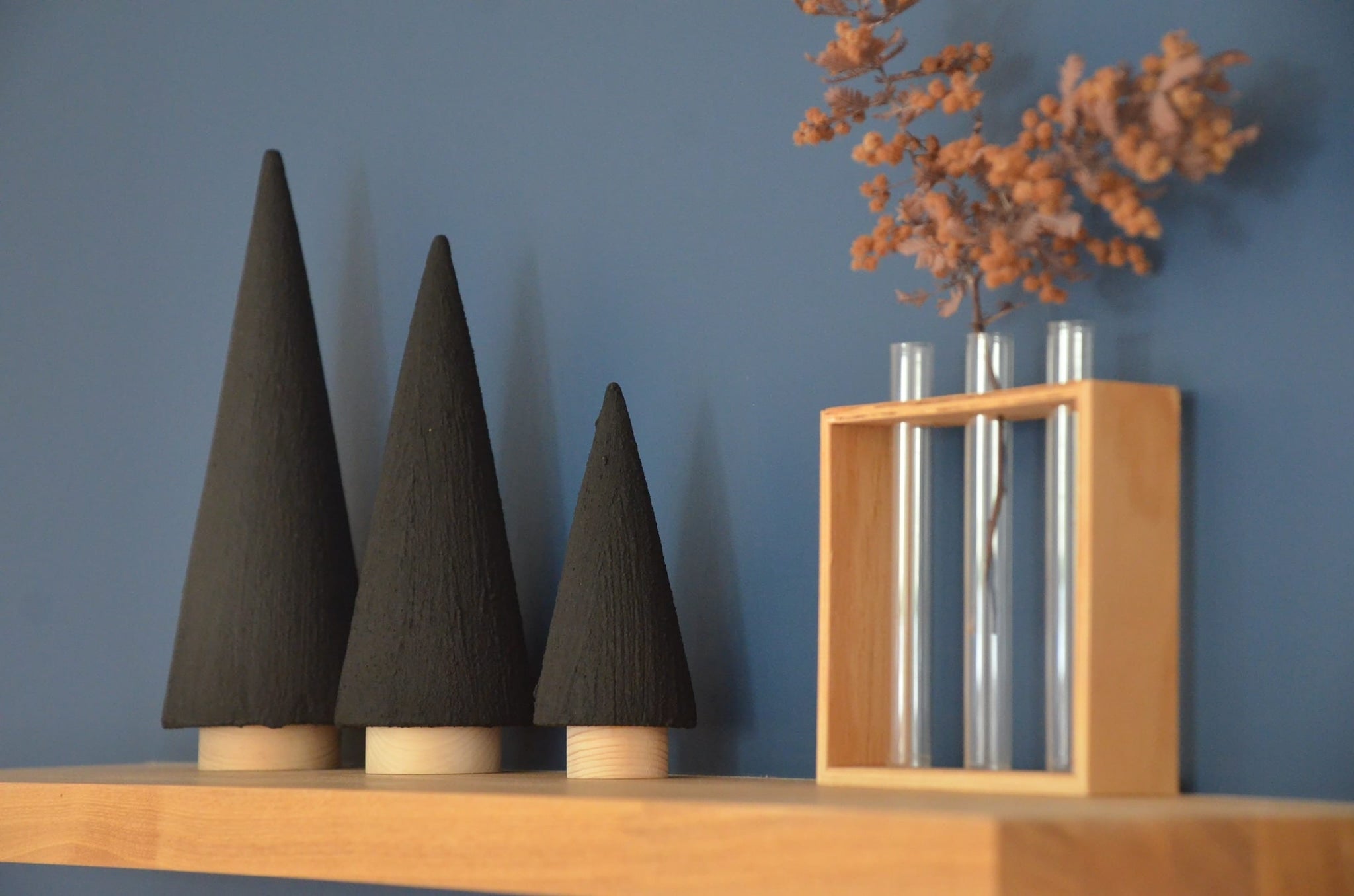 The Secret of Charcoal — Nature’s Power for Warmth, Freshness, and Balance